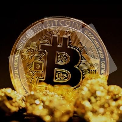 cryptosahil07's profile picture. crypto business
#shibainu coin
#bitcoin coin
#mcoin coin
#babyddoge coin
#bnb coin
#lbk coin
#bfic coin
#Rekt coin
#avav coin