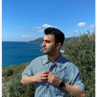 Etem (@etemmolez) 's Twitter Profile