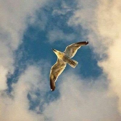عندما ينكر الجميع… حينها تتبع م̷ـــِْن هو صاحب المصلحة والمنفعة الكبرى لما حصل ستدرك حينها ما خلف الاقنعة ببساطة جدا.