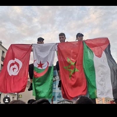 Palestine vivra, Palestine vaincra 🇵🇸
🇩🇿/🇮🇹