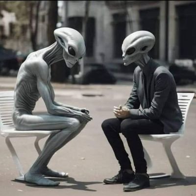 PolkaWinnie's profile picture. Nous allons décortiquer un protocole, une idée, un $Jeton