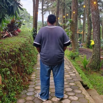 PoDipo's profile picture. Hey, look! It begins to grow a sprouts on the dead wood, i hope it goes well.

Here to find someone to talk to, chit chat after office sounds good, right?