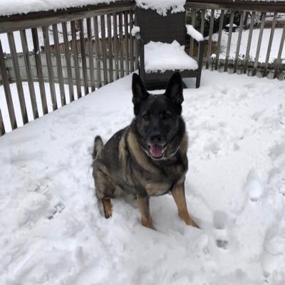 ebsbrg's profile picture. 
