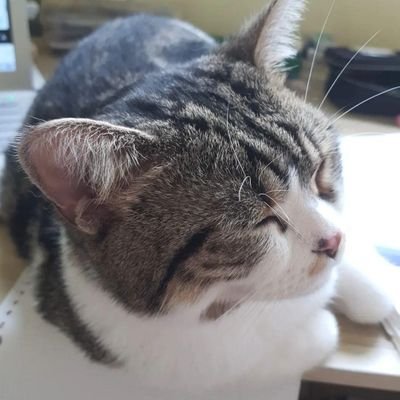 Idunさんのプロフィール画像