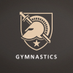Army Gymnastics (@ArmyWP_Gym) Twitter profile photo