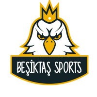 Beşiktaş Sports (@sportsbesiktas) 's Twitter Profile Photo
