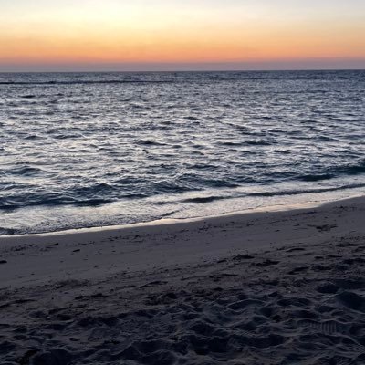 aleensugar's profile picture. 