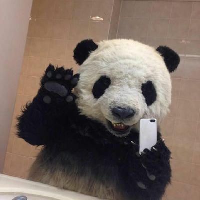 divino_panda Profile Picture