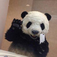 🐼😈Panda_Del_Mal🖤🤍(@divino_panda) 's Twitter Profile Photo