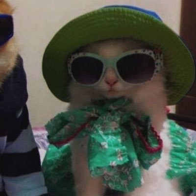 Juliana_Fangirl's profile picture. 