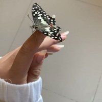 حصة الشمري (@hissa_alshmri) 's Twitter Profile