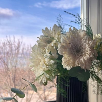 nazocaan's profile picture. 