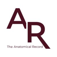 The Anatomical Record(@AnatRecord) 's Twitter Profile Photo