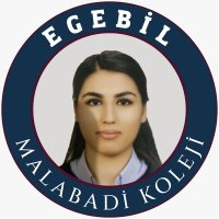 Zeliha Demir(@ZelihaDemi94190) 's Twitter Profile Photo
