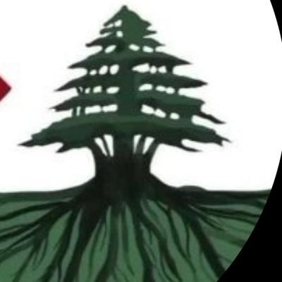 LebaneseParty Profile Picture