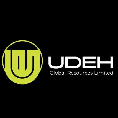 UdehDev's profile picture. Software development company