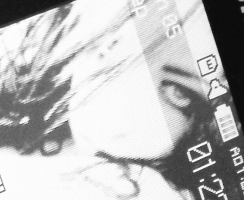 Gatita_Lupita's profile picture. 