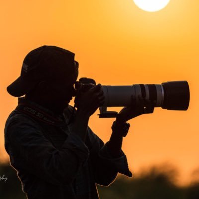 MSc Zoology Student @Makerere | @Team_eBird Reviewer for #BirdsofUganda | Bird Photographer @Africabirdclub #BirdsSeenIn2023