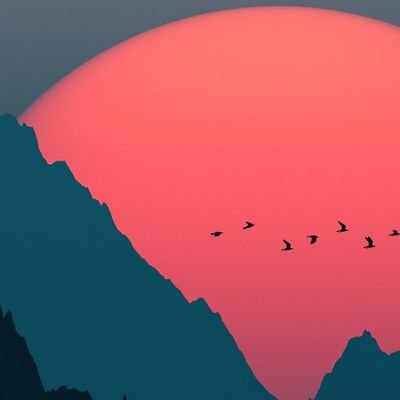 jordensyves's profile picture. 