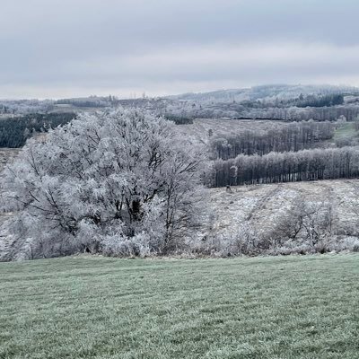 Die schönste Freude erlebt man immer da, wo man sie am wenigsten erwartet - Antoine de Saint-Exupery