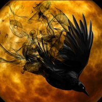 Shadow Box Publishing (@sboxpublish) 's Twitter Profile