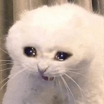 Bocelli0000000's profile picture. • Meme guy 
• I post what I laugh at
• IT humor