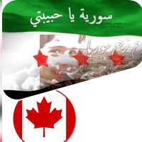 محمد مأمون الحمصي (@mamoun_alhomsi) 's Twitter Profile Photo