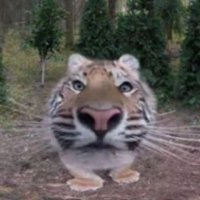 AidenAde (@d3crypt4) 's Twitter Profile