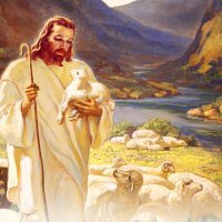 TheGoodShepherdsAssistant (@tgsassistant) 's Twitter Profile