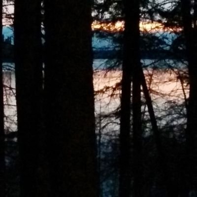 surlyse's profile picture. https://t.co/aqJeyYr8Mt Specialization is for Insects.