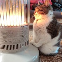 m. (@flaredusk) 's Twitter Profile