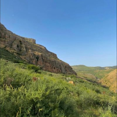 TNS1243's profile picture. she/her