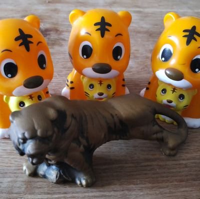 何事も気愛ダァ～～～
①ビンビン、ビン太郎
②紅の虎太郎🐯