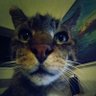 XI0T0's profile picture. Je suis là et c'est déjà pas mal