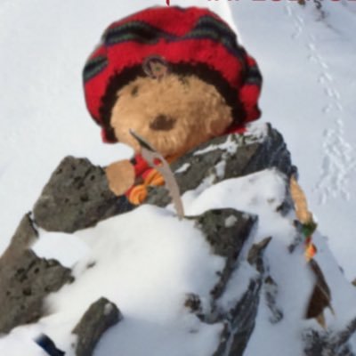 Munro and the #MountaineeringBears at Bear Lodge spreading adventure, furriendship and fun. An antidote to nastiness X & Elon Musk.