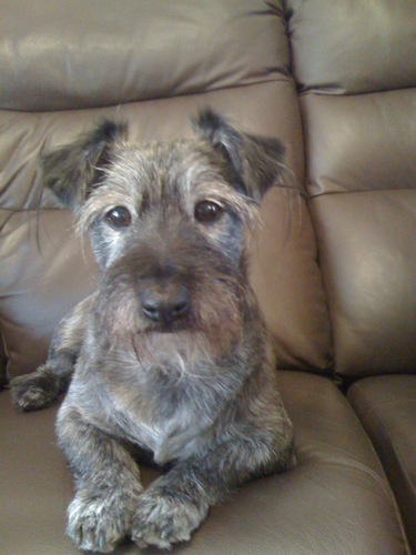 verityvam's profile picture. 