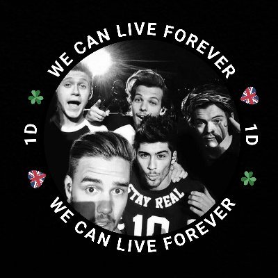 Join our Fanproject 2025 -We Can Live Forever and celebrate 15 years of 1D. Link for the info group is find here⬇️⬇️❤️💛🇮🇪💙💚