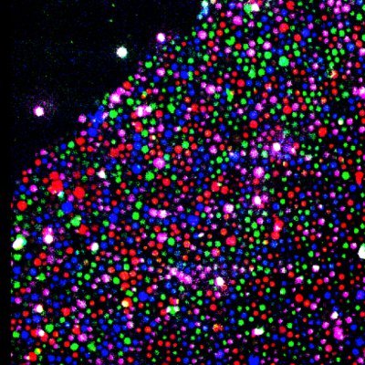 Fei Chen's lab at @BroadInstitute and @HSCRB | Spatial and temporal genomics | Tweets by lab members