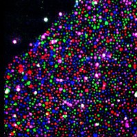 Fei Chen Lab (@insitubiology) 's Twitter Profile Photo Fei Chen Lab (@insitubiology) 's Twitter Profile Photo