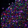 insitubiology's profile picture. Fei Chen's lab at @BroadInstitute and @HSCRB | Spatial and temporal genomics | Tweets by lab members