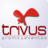 TrivusPromocoes's profile image