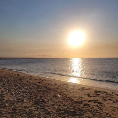 Jose980915's profile picture. 27 años. 1,85. Soltero, respetuoso, discreto. Nuevo en el ambiente con ganas de experimentar cosas nuevas..