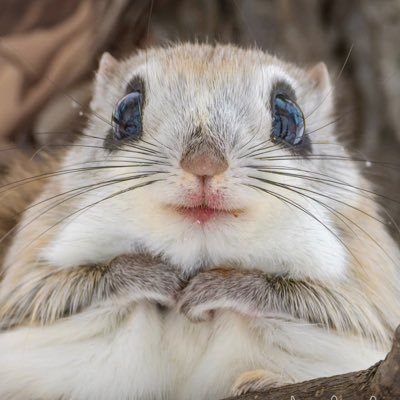 kakaさんのプロフィール画像