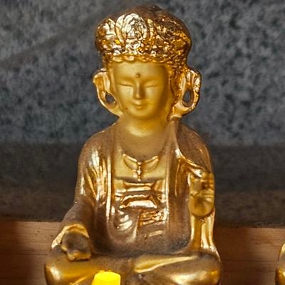 sudogwongo55095's profile picture. 