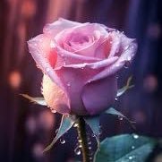 ﮼ألجوري (@jory_a_2) Twitter profile photo