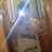 _Reynoso10_'s profile image
