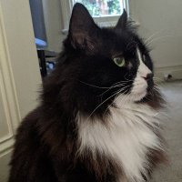 Naan (@na_anbread) 's Twitter Profile
