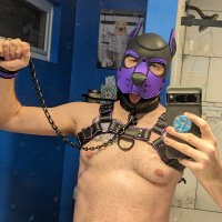 Cypher (@puppercypher) 's Twitter Profile Photo