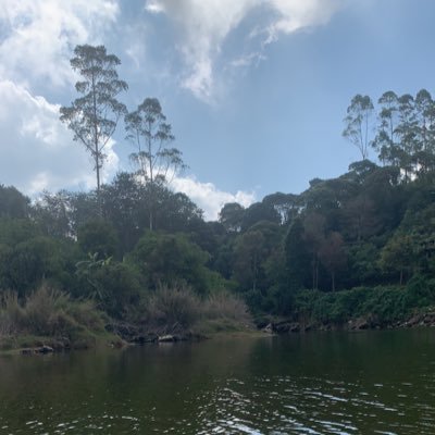 thediamond____'s profile picture. الحمدالله حباً والحمدالله شكراً وثناء فيارب لك الحمد حتى الرضى🤍