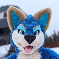 Part-Time Pupper 🔜 FWA, AC(@kibblebowl) 's Twitter Profile Photo